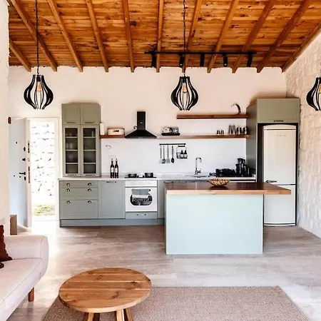 Villa Fethiye Villalarimvilla 3 Kozagaci